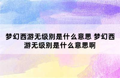 梦幻西游无级别是什么意思 梦幻西游无级别是什么意思啊